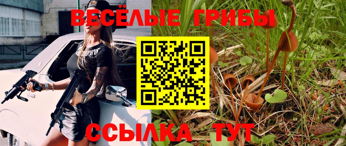 Кострома  Псилоцибиновые грибы прущие грибы  Вход с VPN 