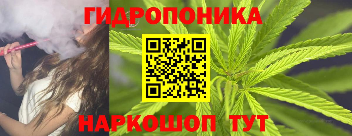 Канабис сатива  Бошки Шишки OG Kush  Вход с VPN  Кострома  МАРИХУАНА гибрид 